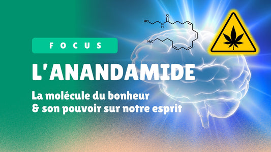 Anandamide : la molécule du bonheur et son pouvoir sur notre esprit