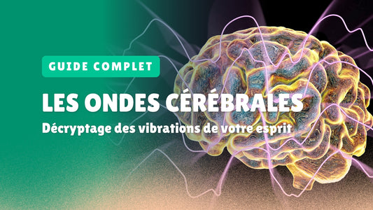 Les ondes cérébrales : décryptage des vibrations de votre esprit